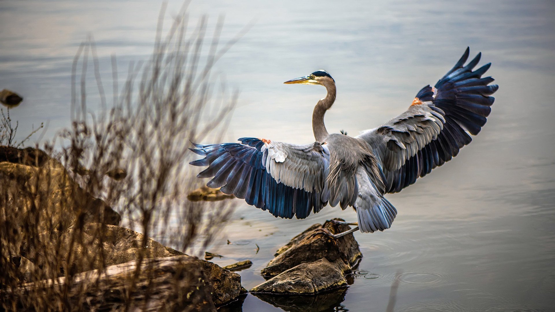 《Valorant爆冷在望,年轻战队逆袭夺冠!》,valorant比赛