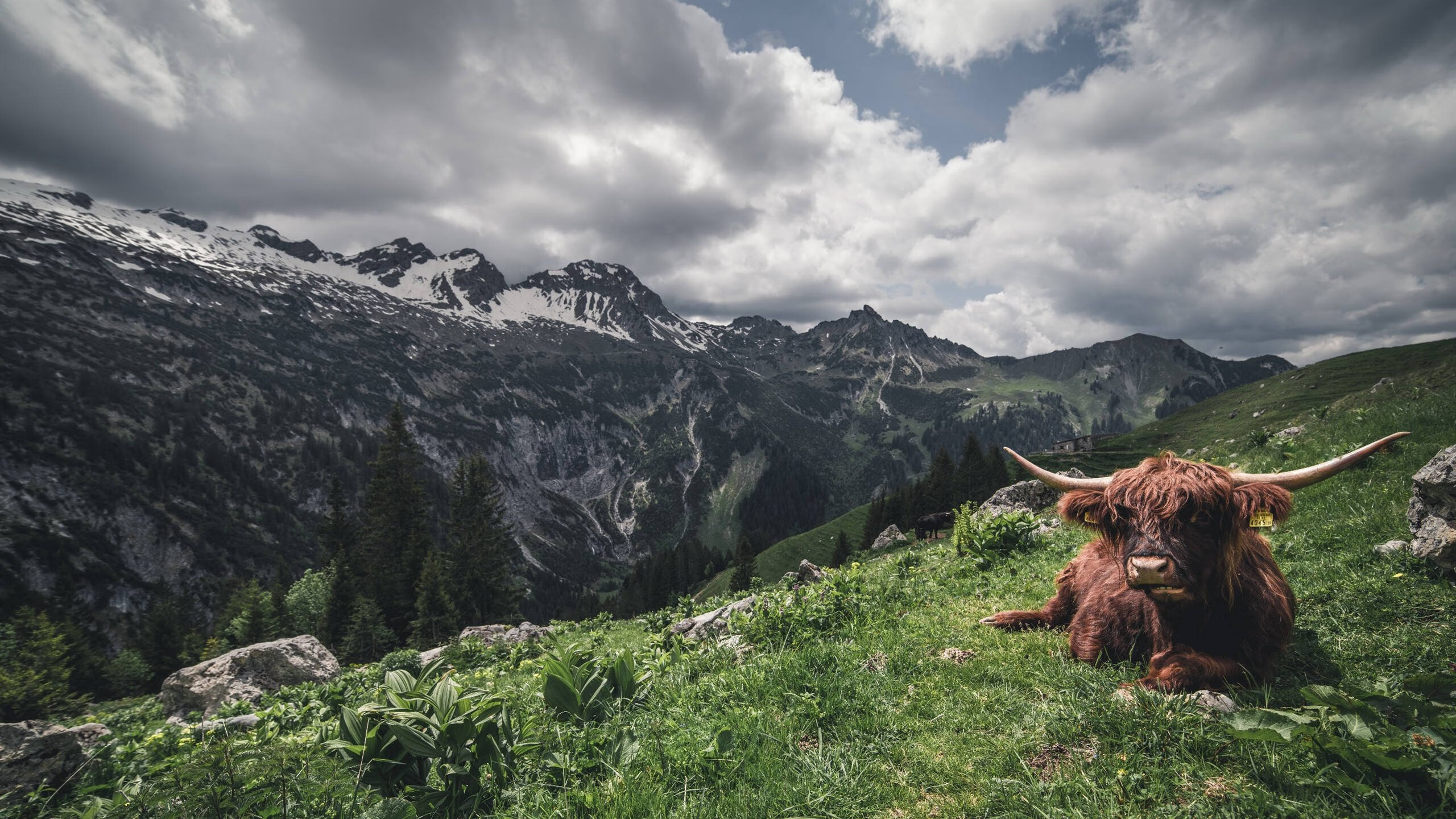 中国足球市场深度融合多行业,开启新产业链,中国足球产业发展现状