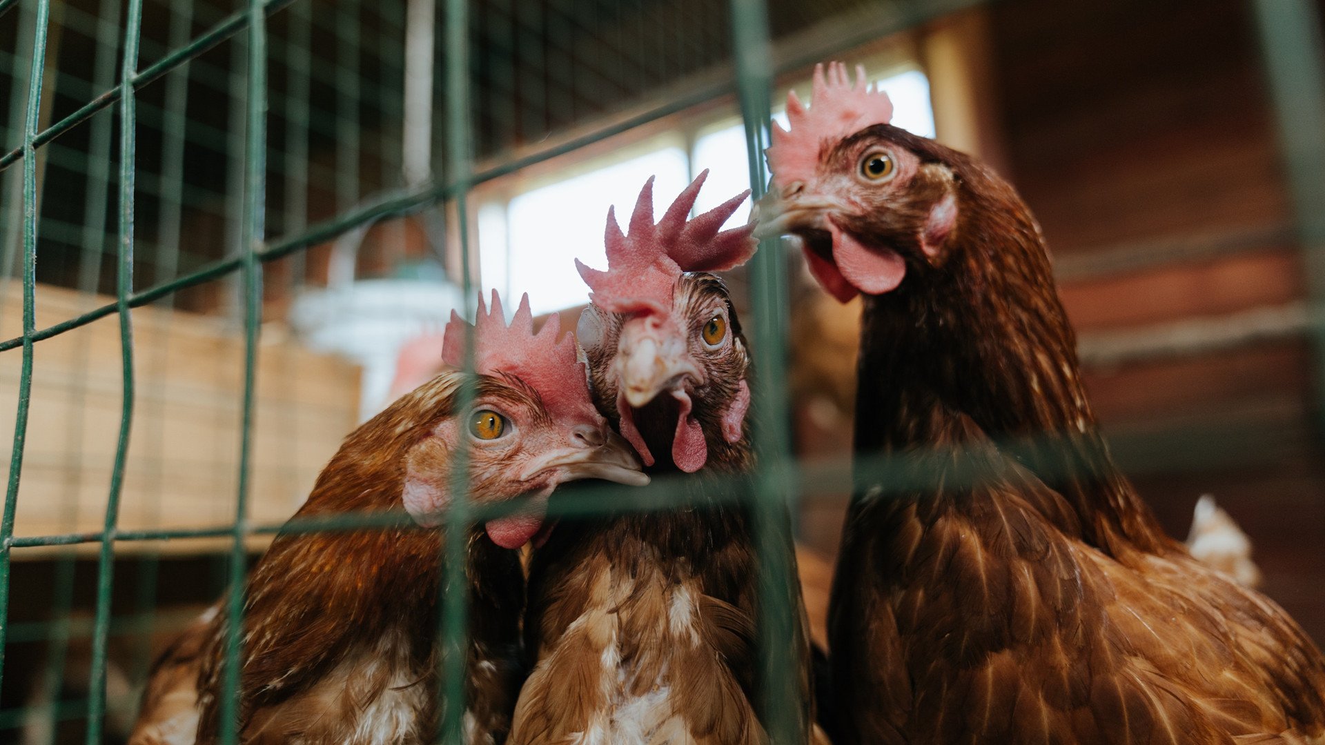 九游-墨西哥队在巴黎奥运会比赛中多次利用边路进攻，奥运墨西哥足球