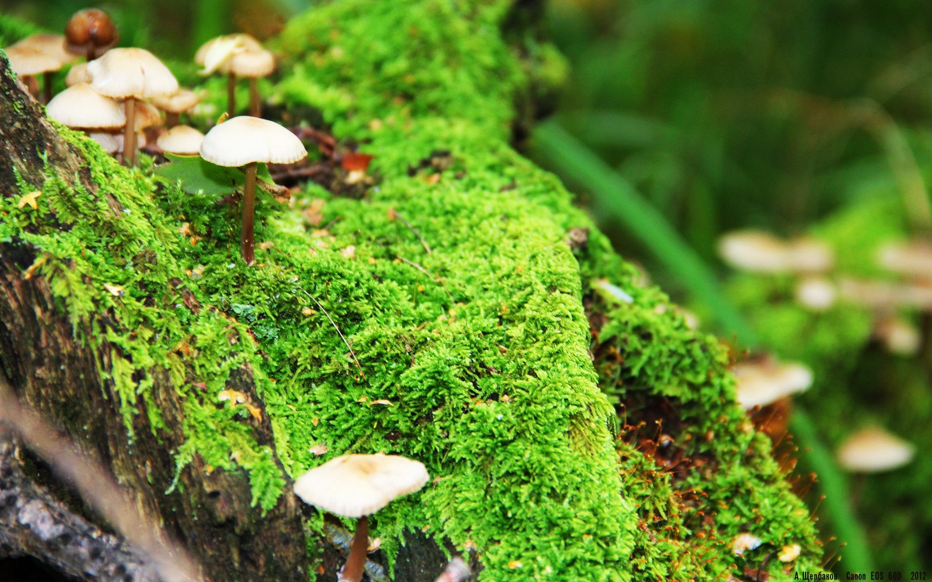 意甲对决，比分4-2，场上关键数据：角球数占优，精彩表现球员助攻不断