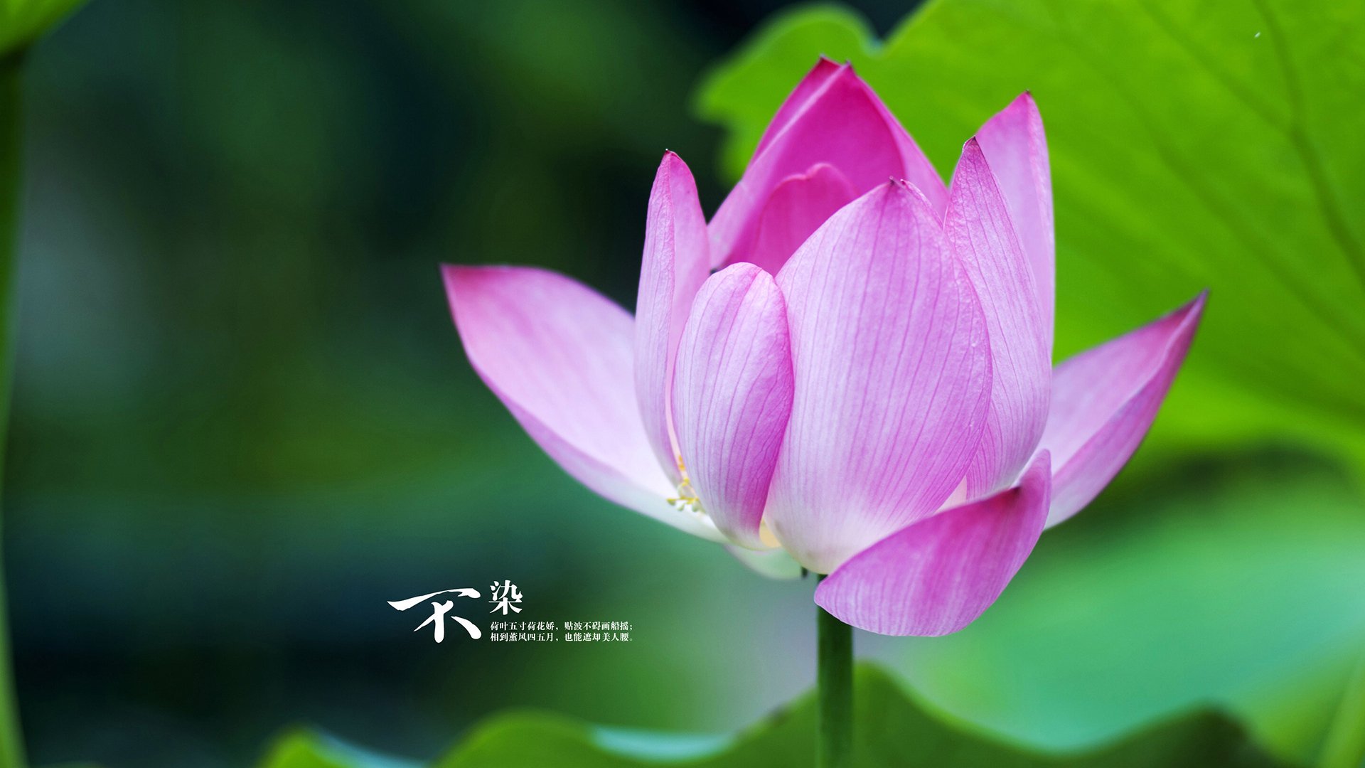 电竞选手如何面对胜负:积极心态与持续努力,电竞选手非常困难