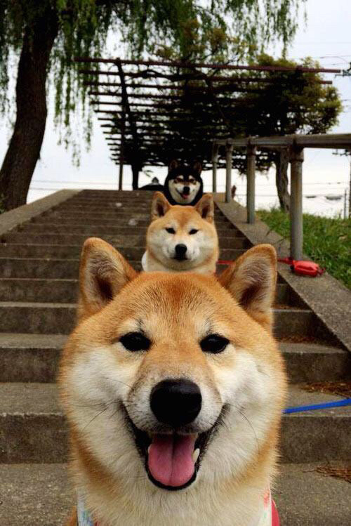 赛季“黑马”队伍的崛起：他们如何出奇制胜？，s22赛季黑马