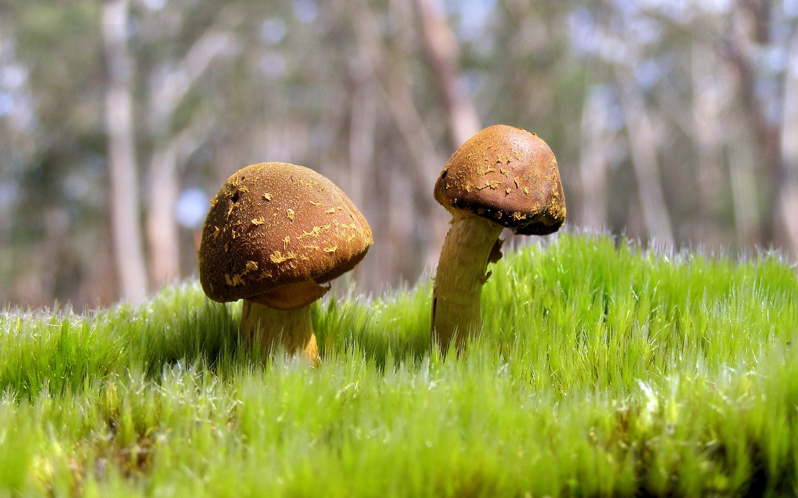 九游官网pc-LPL季后赛门票销售火爆，lpl季后赛门票多少钱