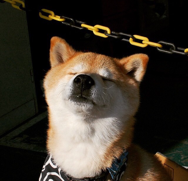 公牛管理层评估球队阵容，考虑引援补强，公牛总经理谈选秀_ 会选择当时感觉最好的球员