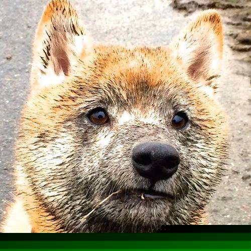 九游登录中心-南安普顿后防球员戏耍队友获点赞，南安普顿 球队