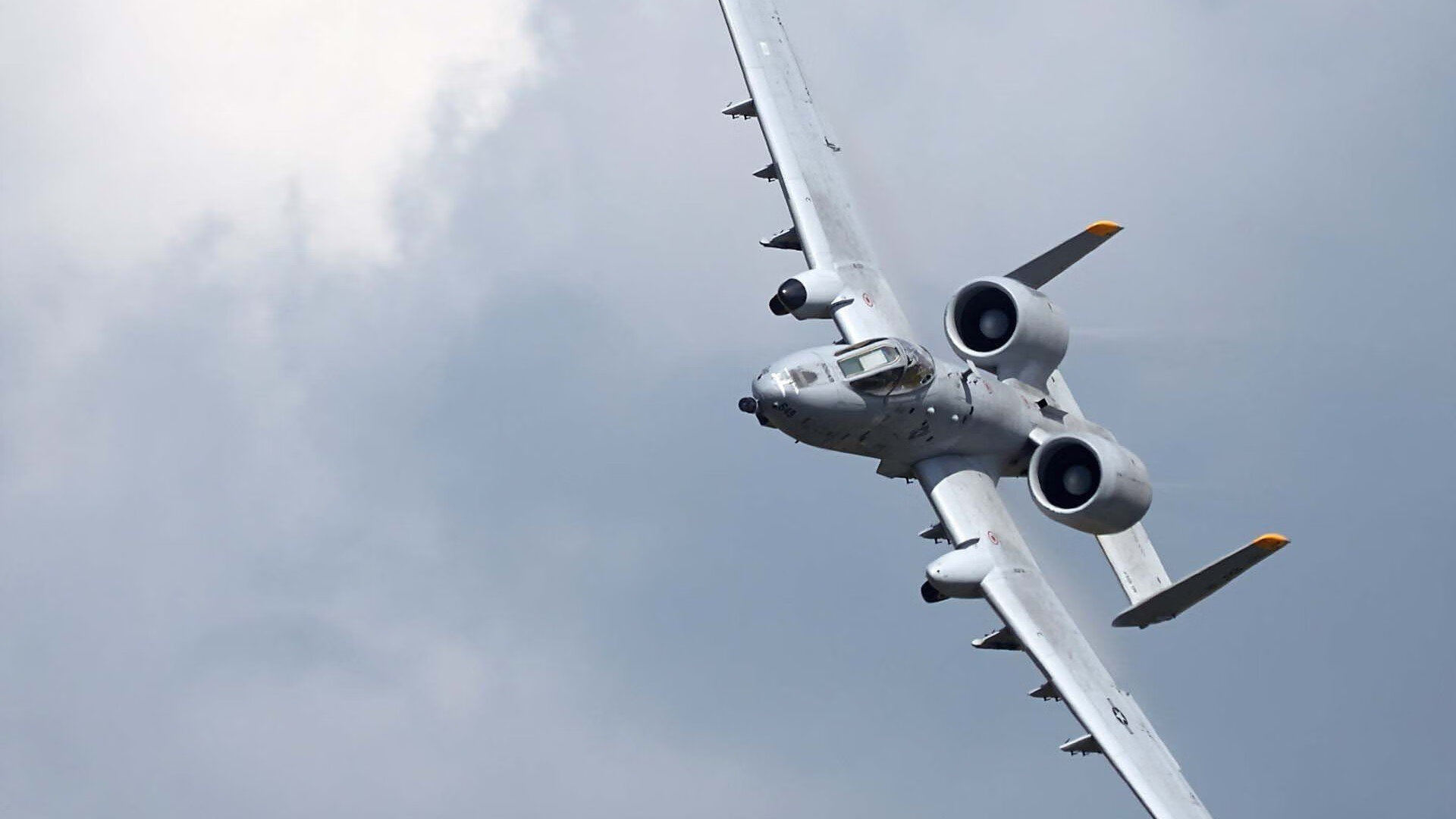 日本马术协会与大学合作，开展马术专业课程，培养专业人才。，日本东京马术俱乐部