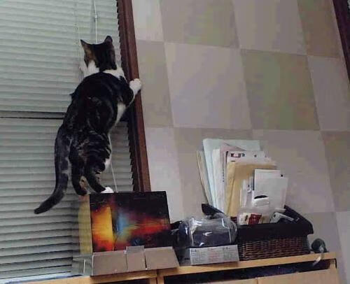 JIUYOU GAMING-日本足球队表现抢眼，轻取对手晋级，日本足球队表现抢眼,轻取对手晋级