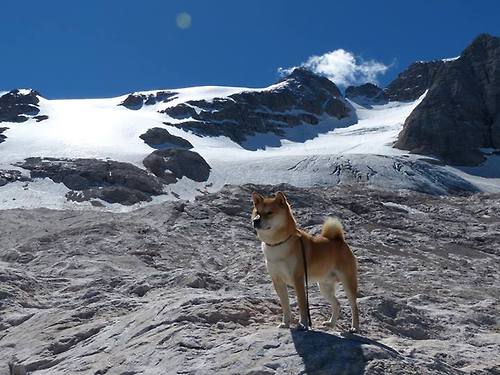 沙尔克球员集体休假，调整状态备战接下来的比赛，沙尔克球队怎么样