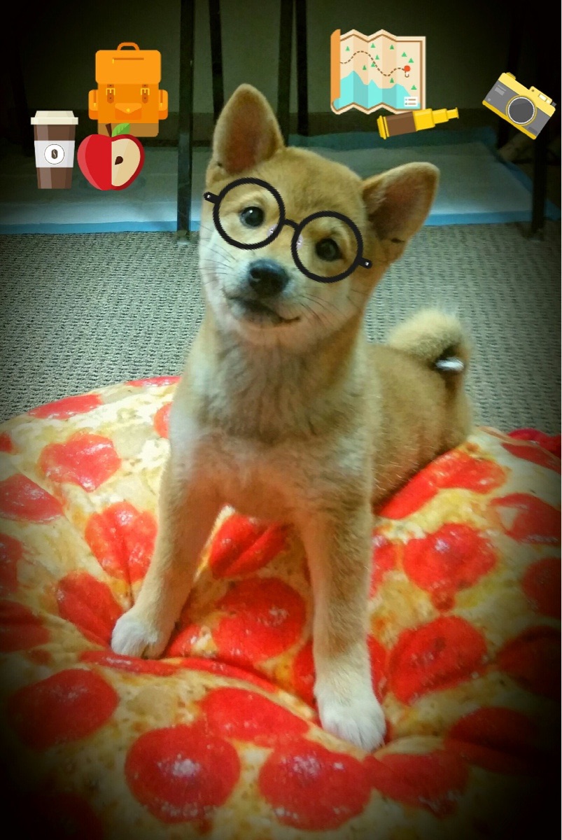 九游娱乐官网 (jiuyou)-联盟是否应评估球员公益参与影响力