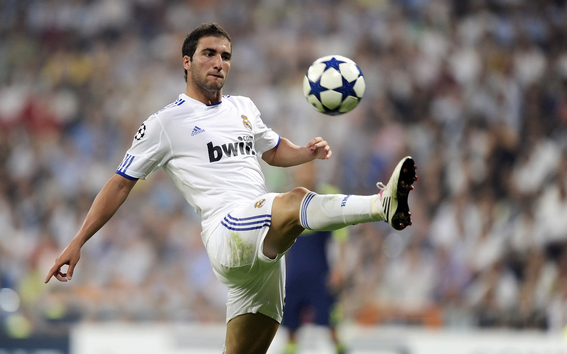 荷兰队精彩表现，大胜特立尼达和多巴哥，多特瞄准荷兰双边锋_强的心有所属 年轻的