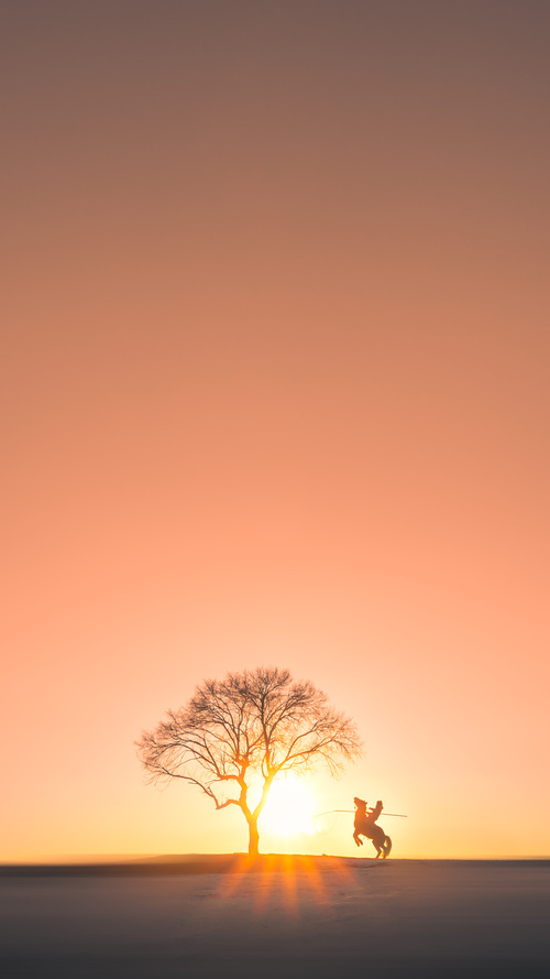 摩洛哥反曲弓选手在2024年非洲射箭锦标赛中表现出色