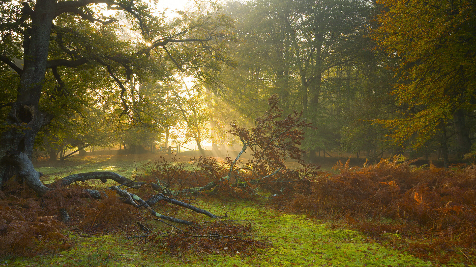 九游网-体育产业投资回报分析，体育产业投资有哪些