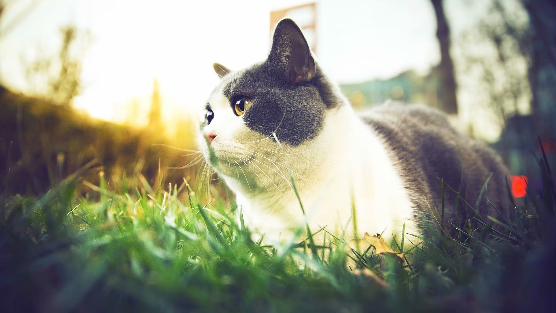 “简阳文体中心：世界顶级选手齐聚，竞技魅力无可抵挡”