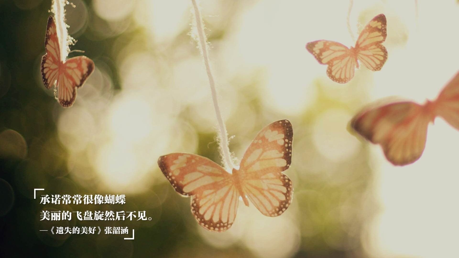 中国女篮全胜夺冠彰显硬实力,中国女篮获得冠军