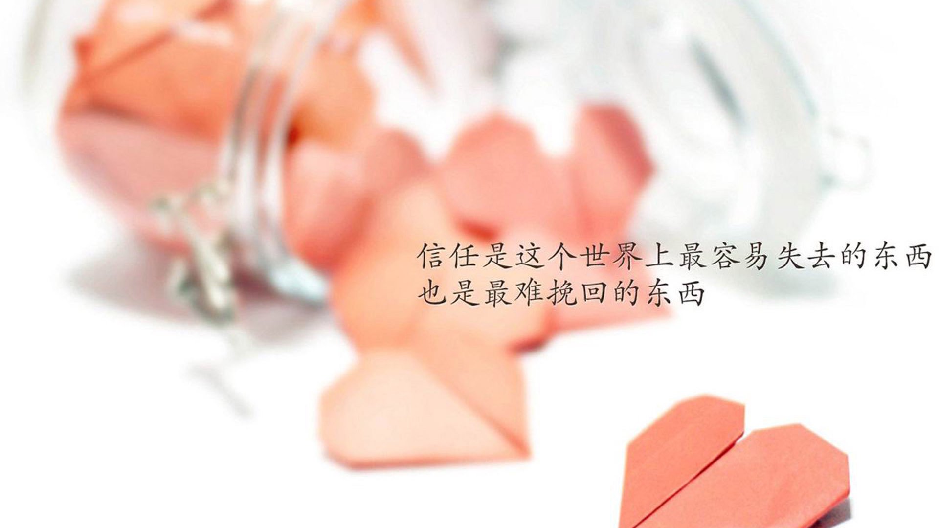 Jiuyou-中国足球青少年培训基地全面升级，中国足球青少年培训基地全面升级项目