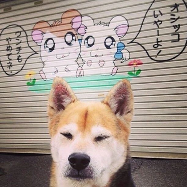 九游娱乐(jiuyou)官方网站-水球攻防转换南非女队节奏紧凑，fina水球